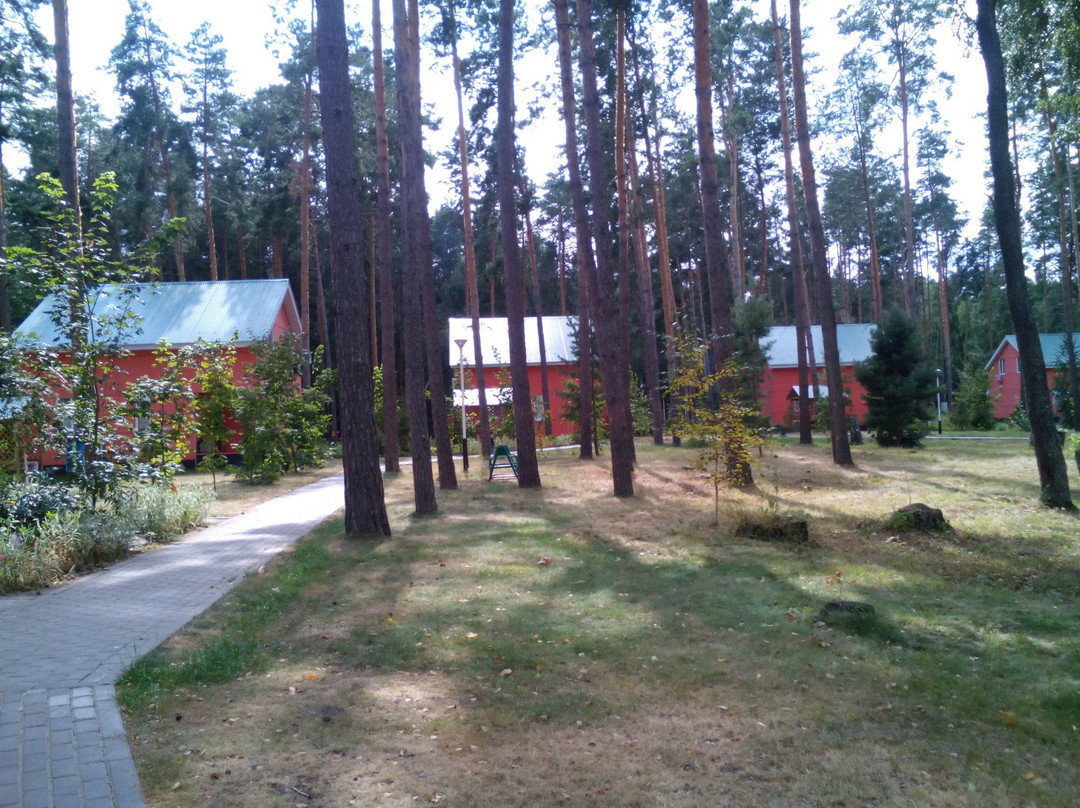 Baza Otdykha Lesnaya Byl主图