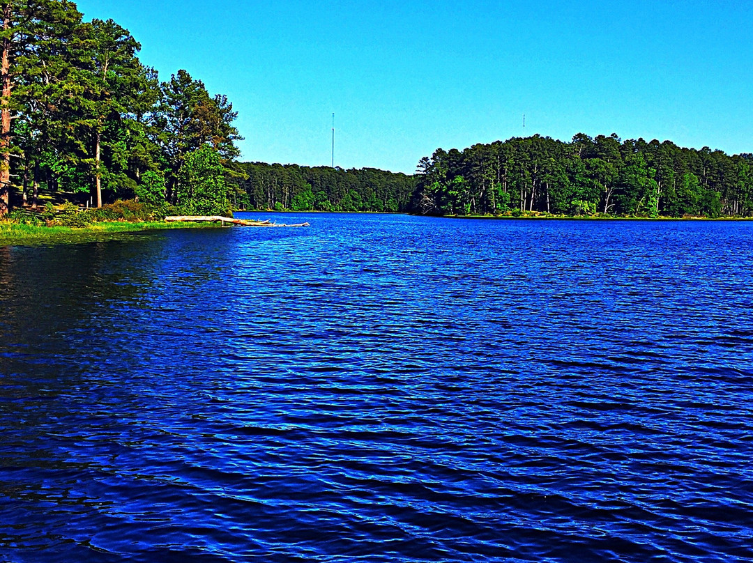 2024年1月Daingerfield旅游景点攻略Daingerfield旅游住宿,Daingerfield旅游美食猫途鹰