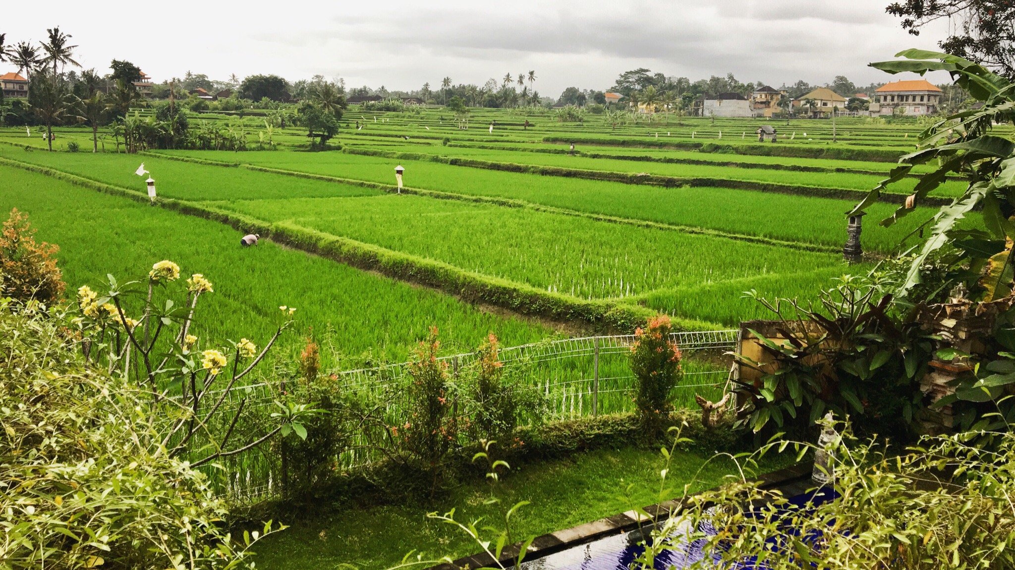 Long Lane Homestay-浴室