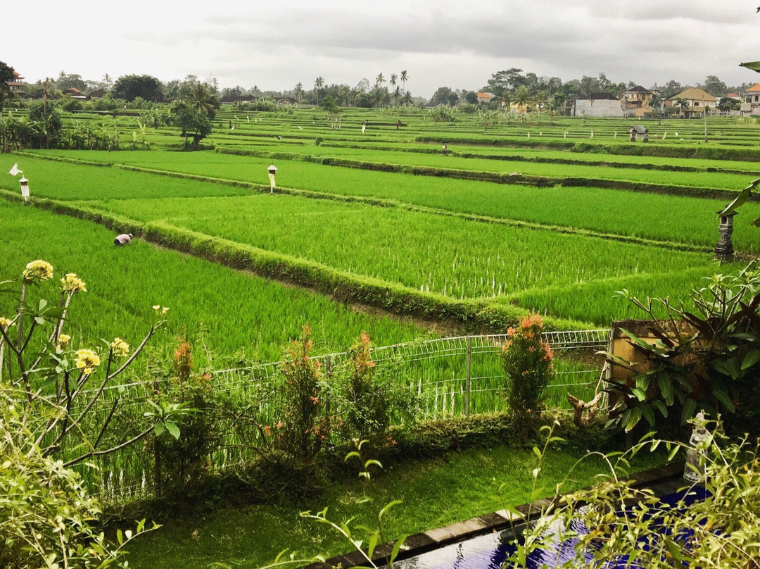 Long Lane Homestay主图