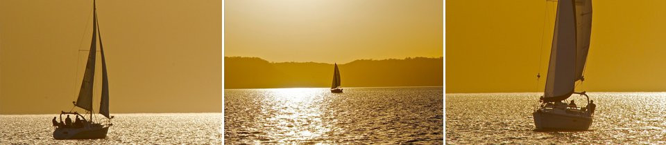 Sail Pepin景点图片