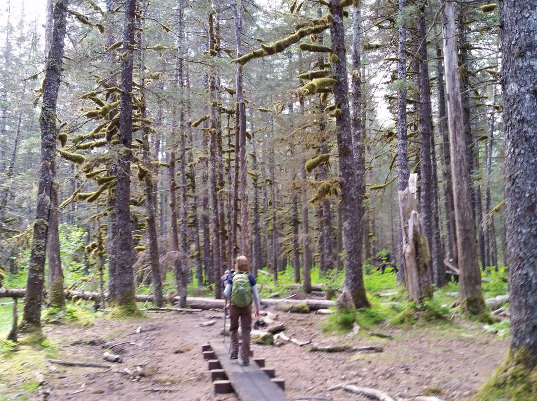 Tonsina Creek Trail-苏厄德必去景点
