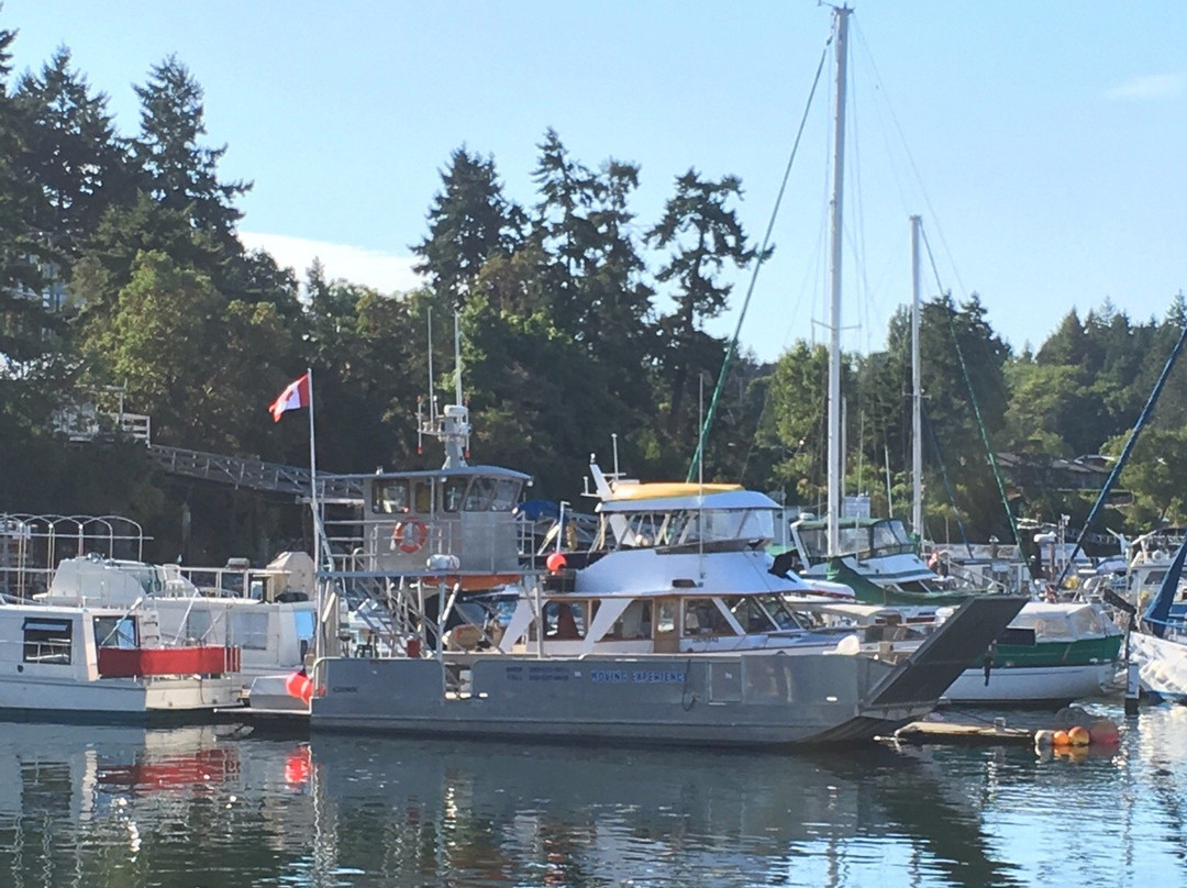 Rotary Marine Park景点图片