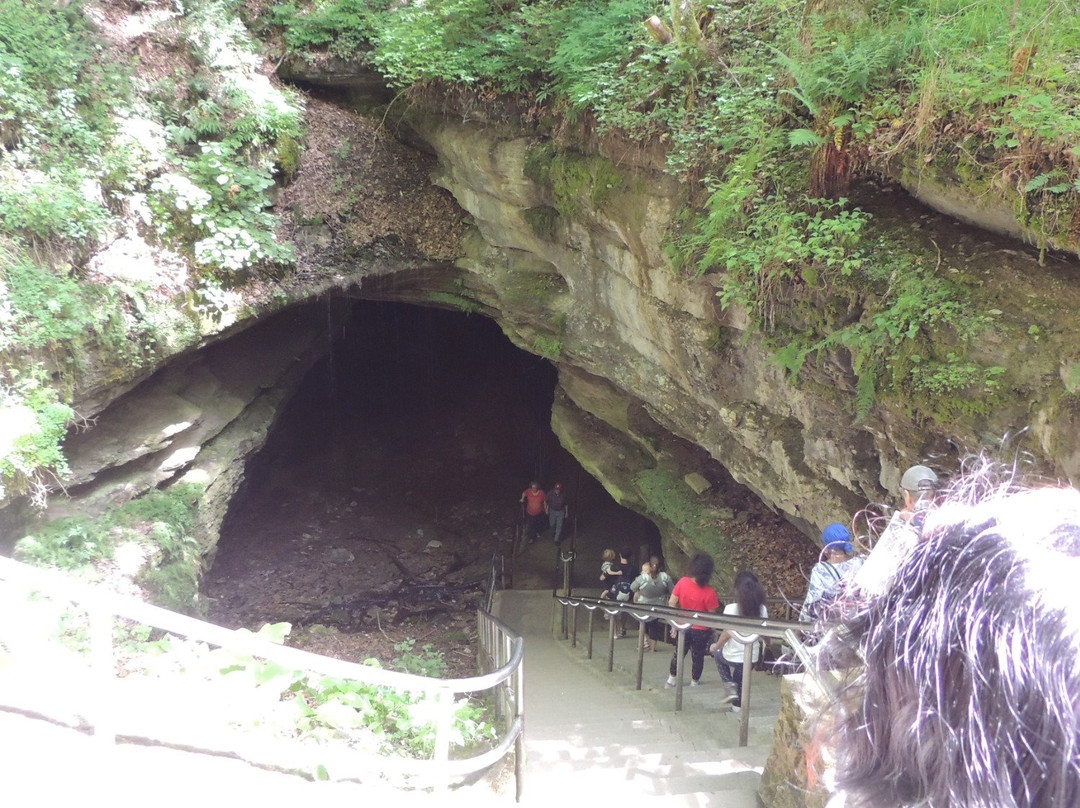 Discovery Tour景点图片