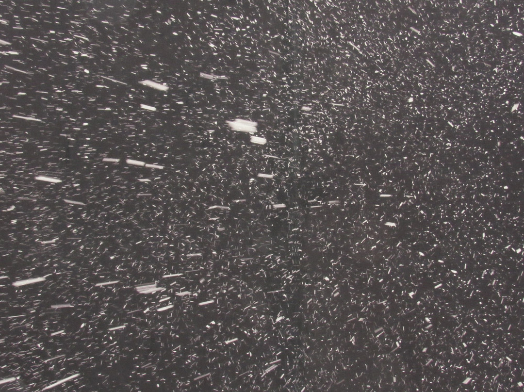 Yoda Laser Game-金夏沙必去景点