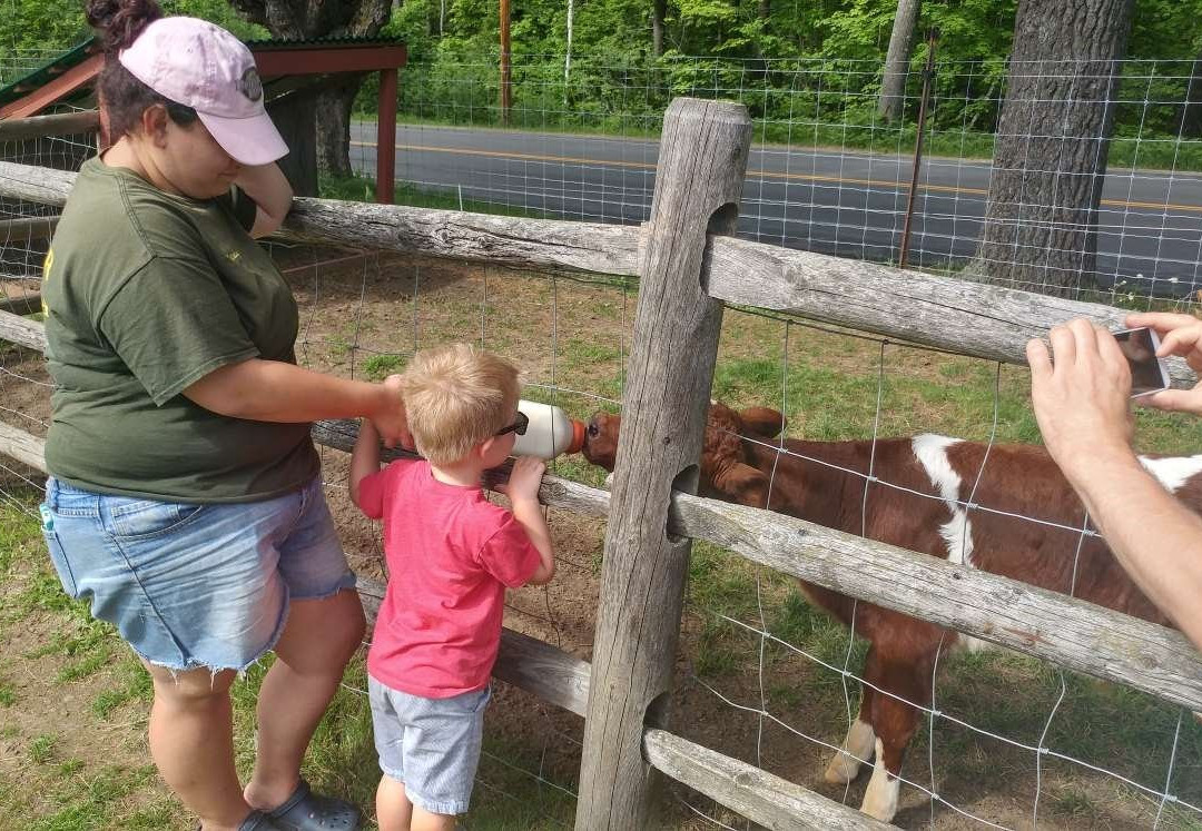 Friendly Farm-Dublin必去景点