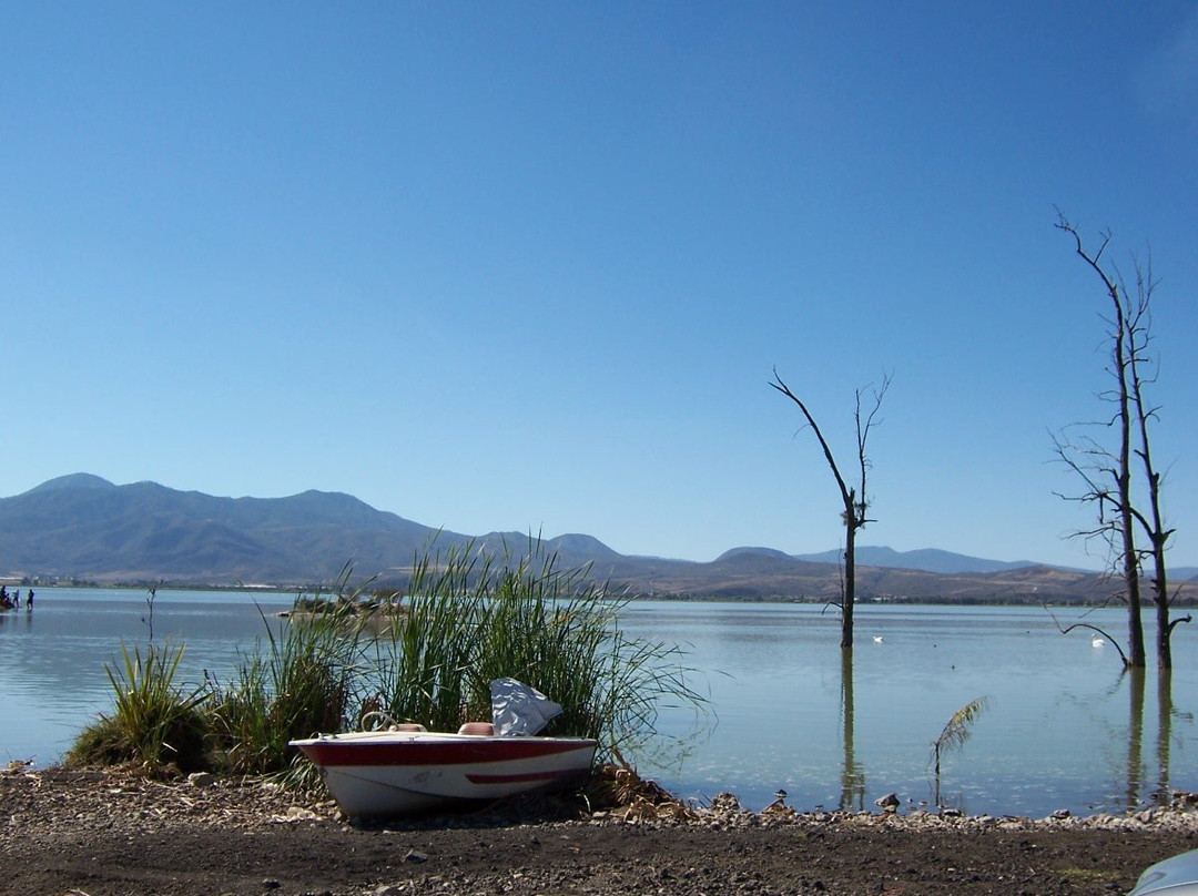 Laguna de Ciudad Guzman景点图片