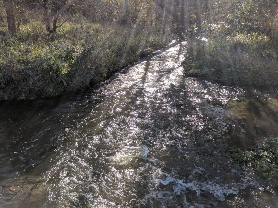 Castillo Acelain-坦迪尔必去景点