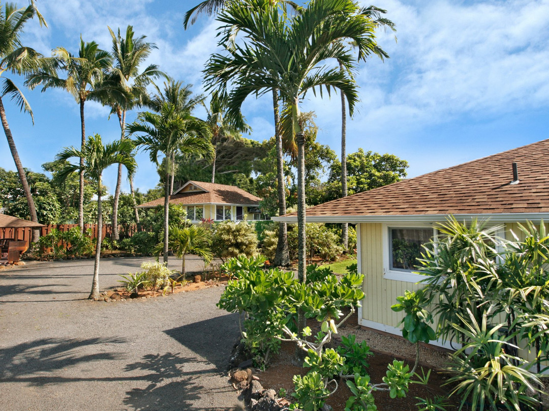 17 Palms Kauai