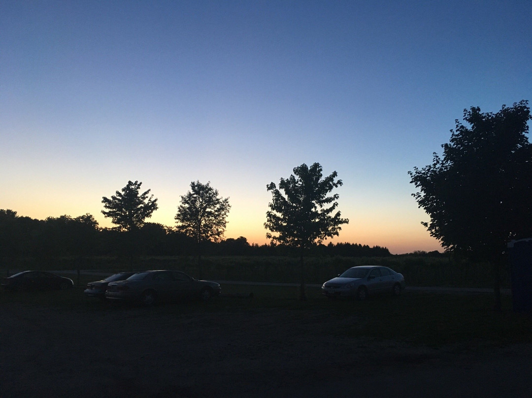 Alluvial Brewing Company-艾姆斯必去景点