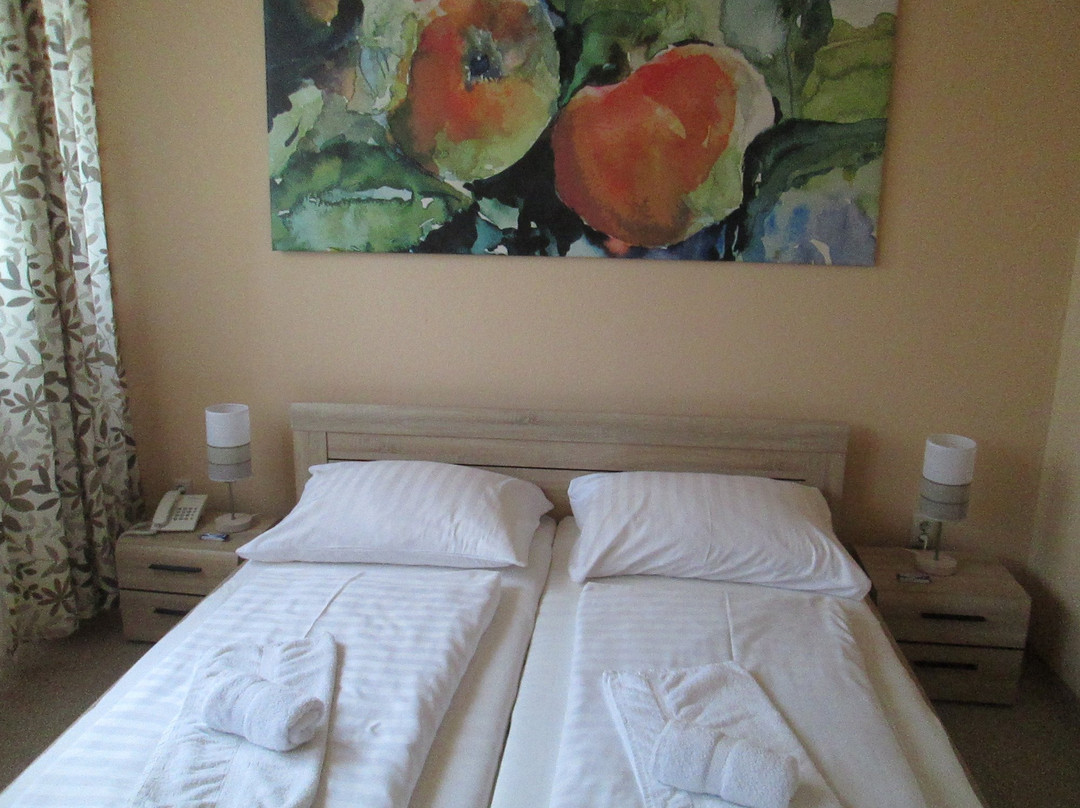 Nagykallo酒店住宿-Ozoon Hotel