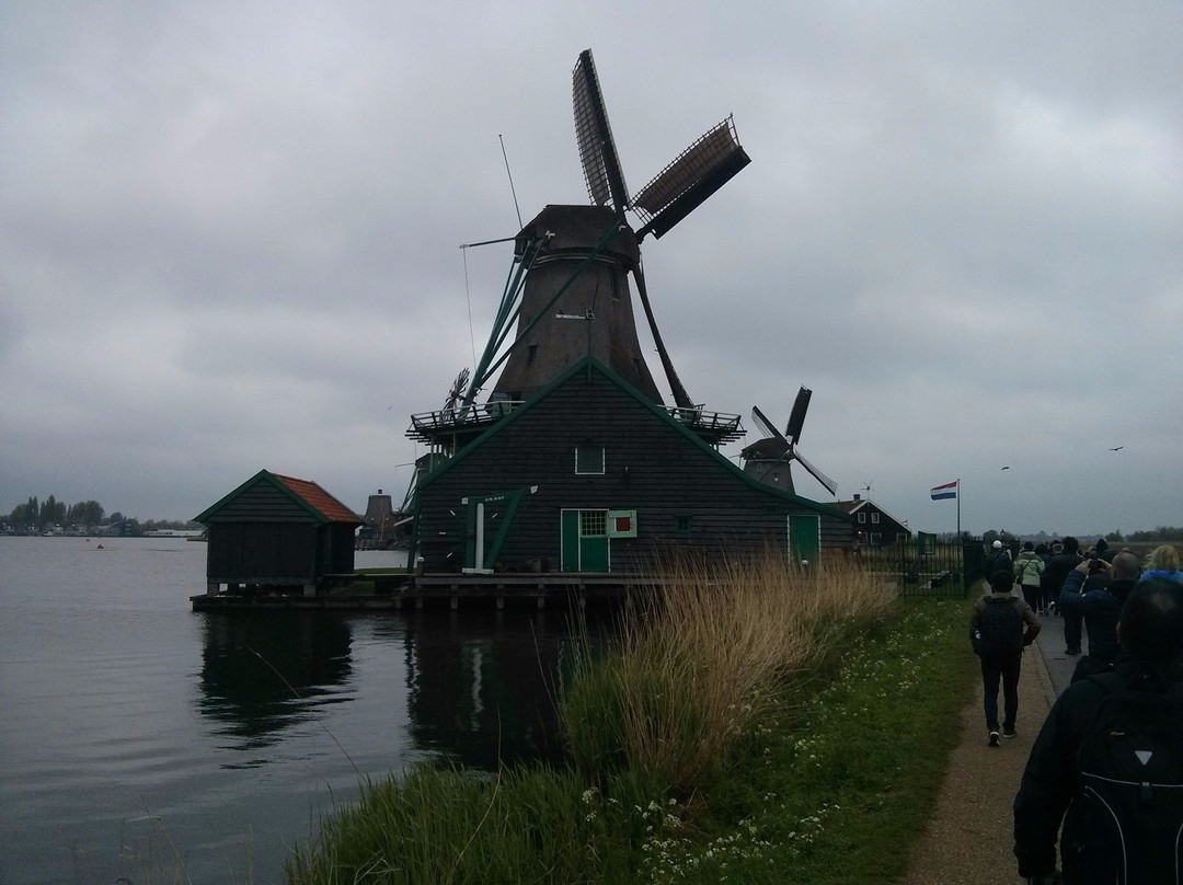 Amsterdam Windmill Tour景点图片