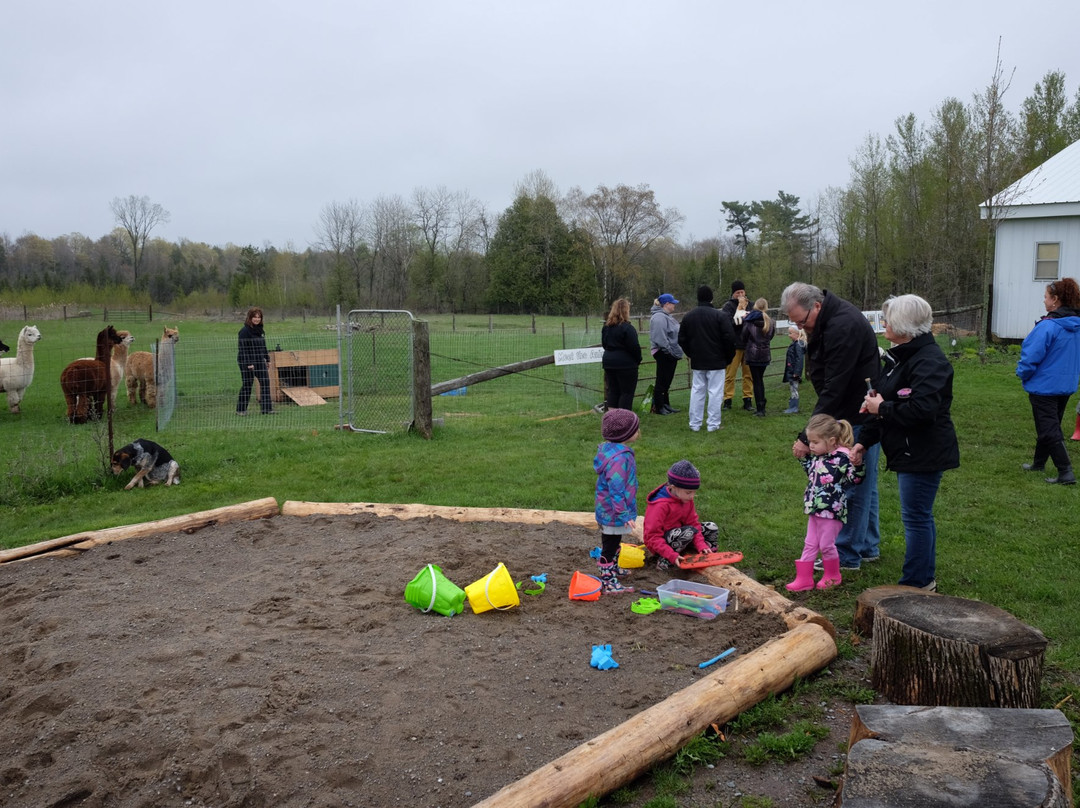 Dare 2 Dream Farm-Kendal必去景点