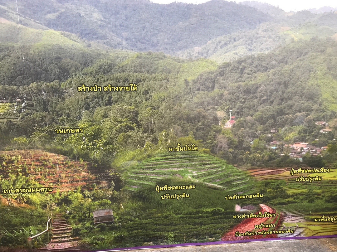 Phufa Development Center景点图片