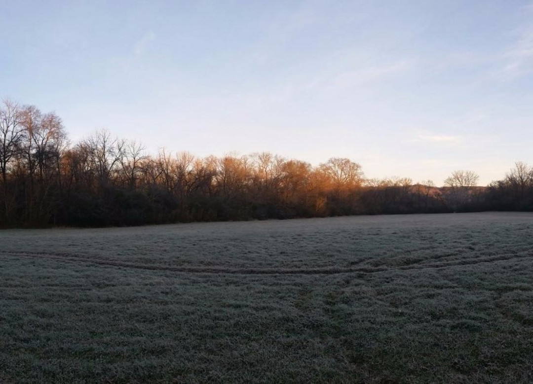 Chickasaw Trace County Park-哥伦比亚必去景点