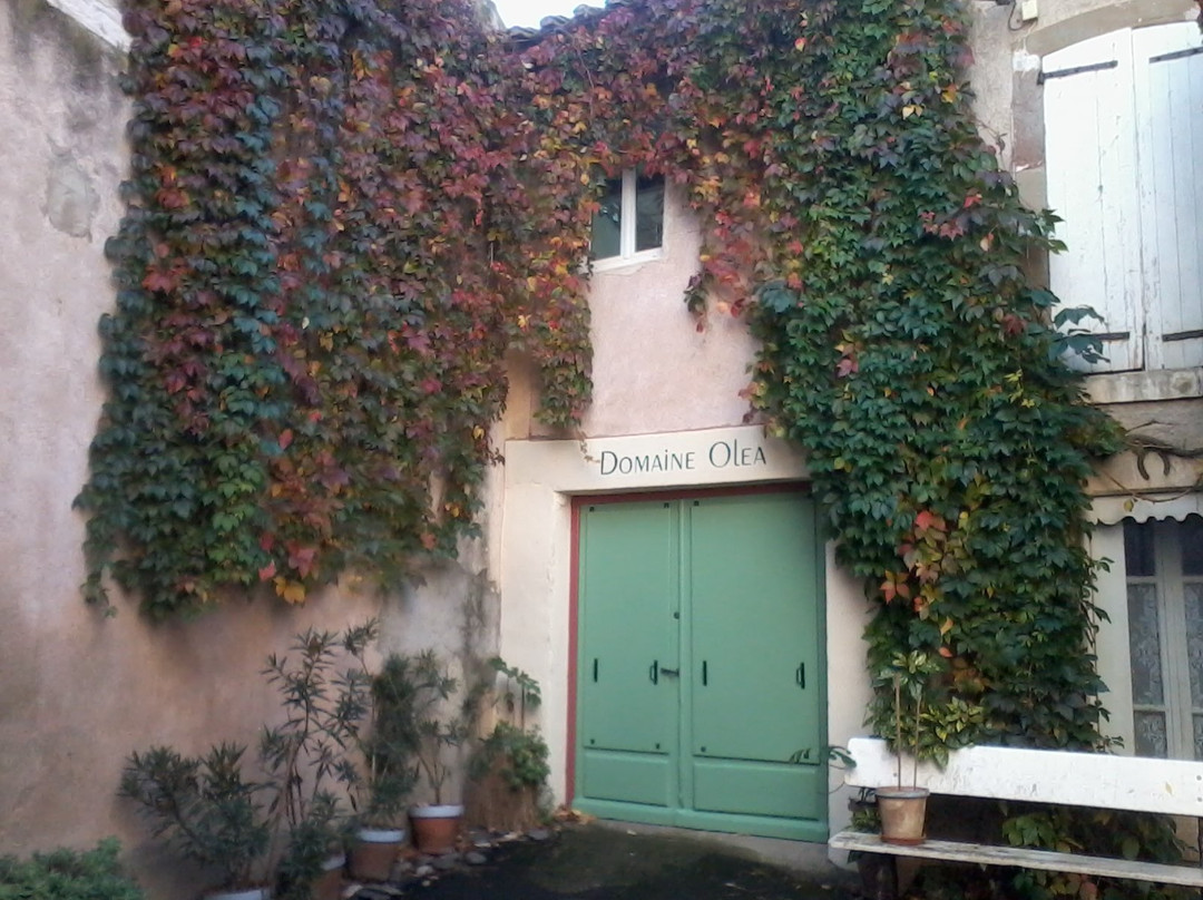 Domaine Olea景点图片