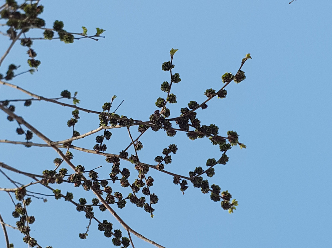 T-Light Park-安山市必去景点