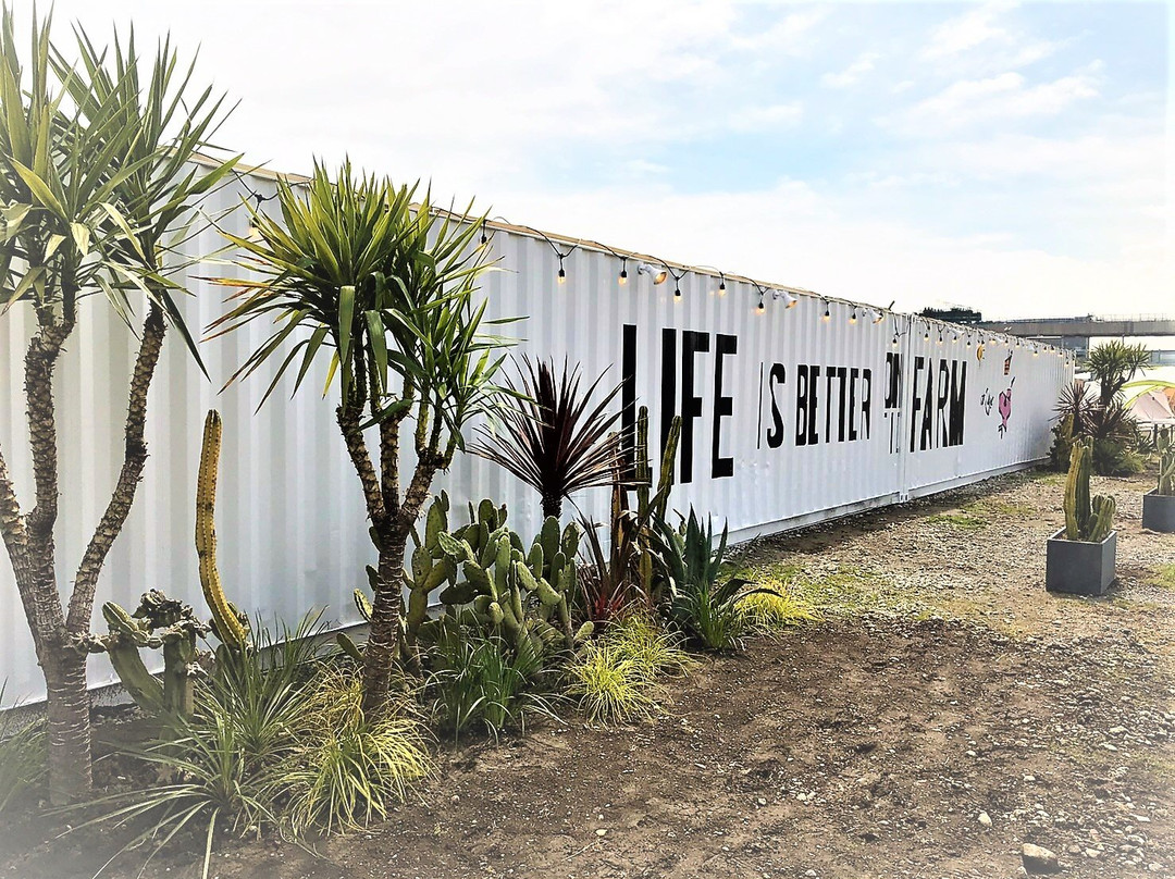 ワイルドマジック ザ レインボー バー