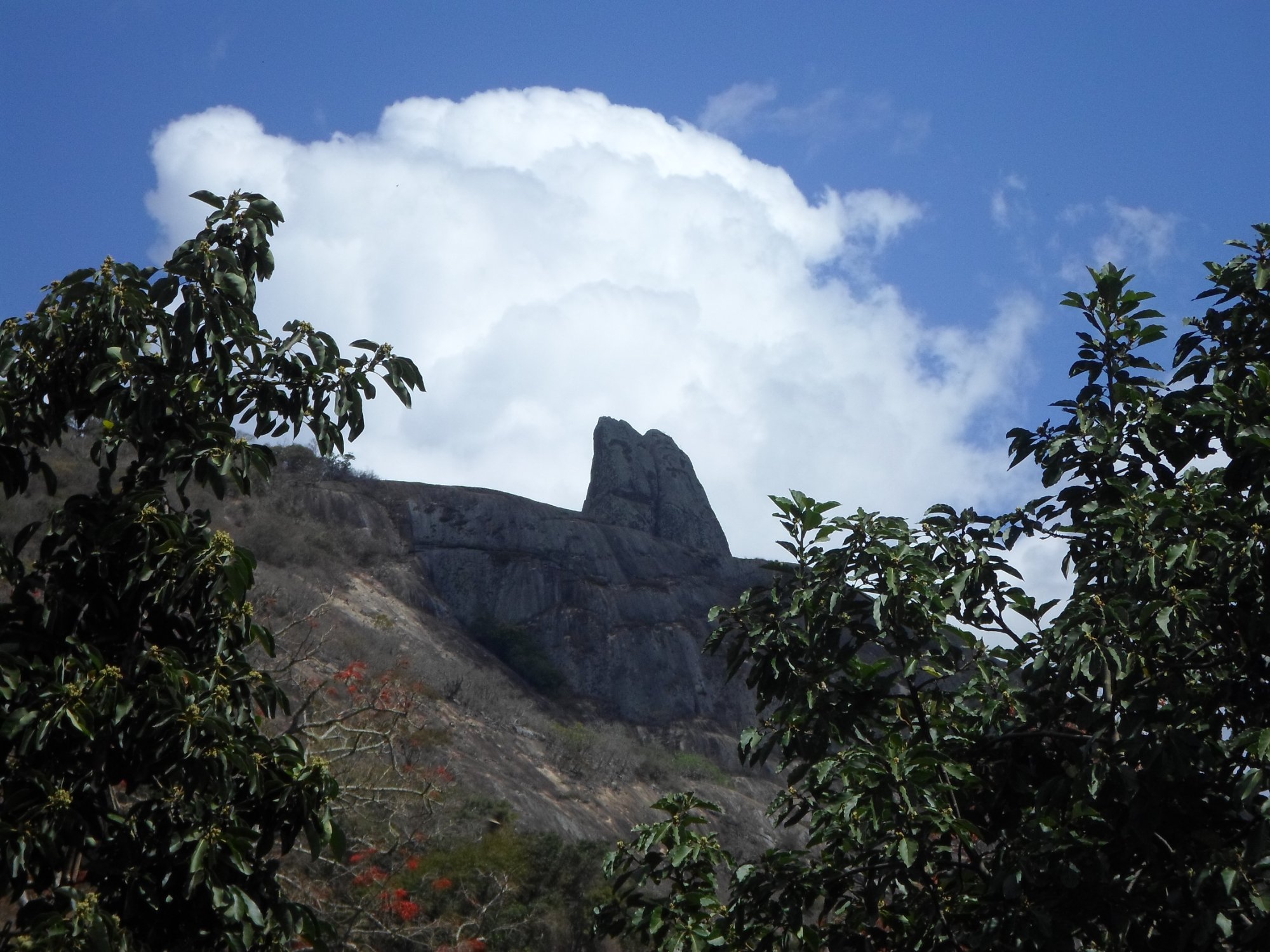 Cantinho dos 3 Pontoes-官方