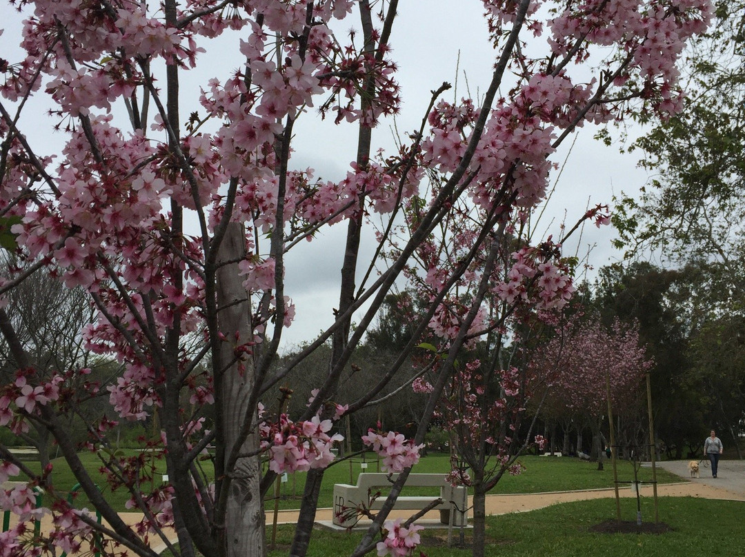 Huntington Central Park-亨廷顿海滩必去景点