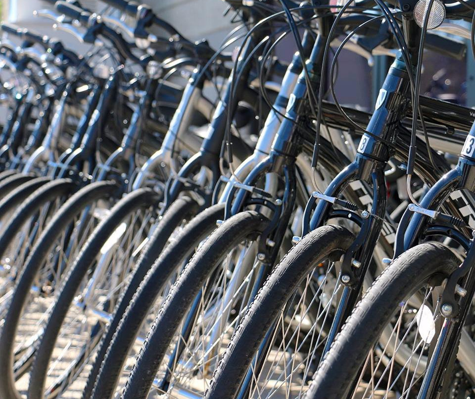 Infinity Bicycles-橙色海湾必去景点