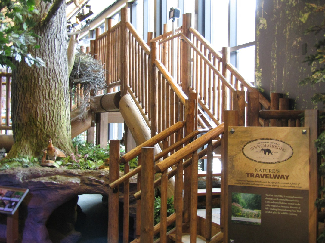 The Wildlife Center at Sinnemahoning State Park景点图片