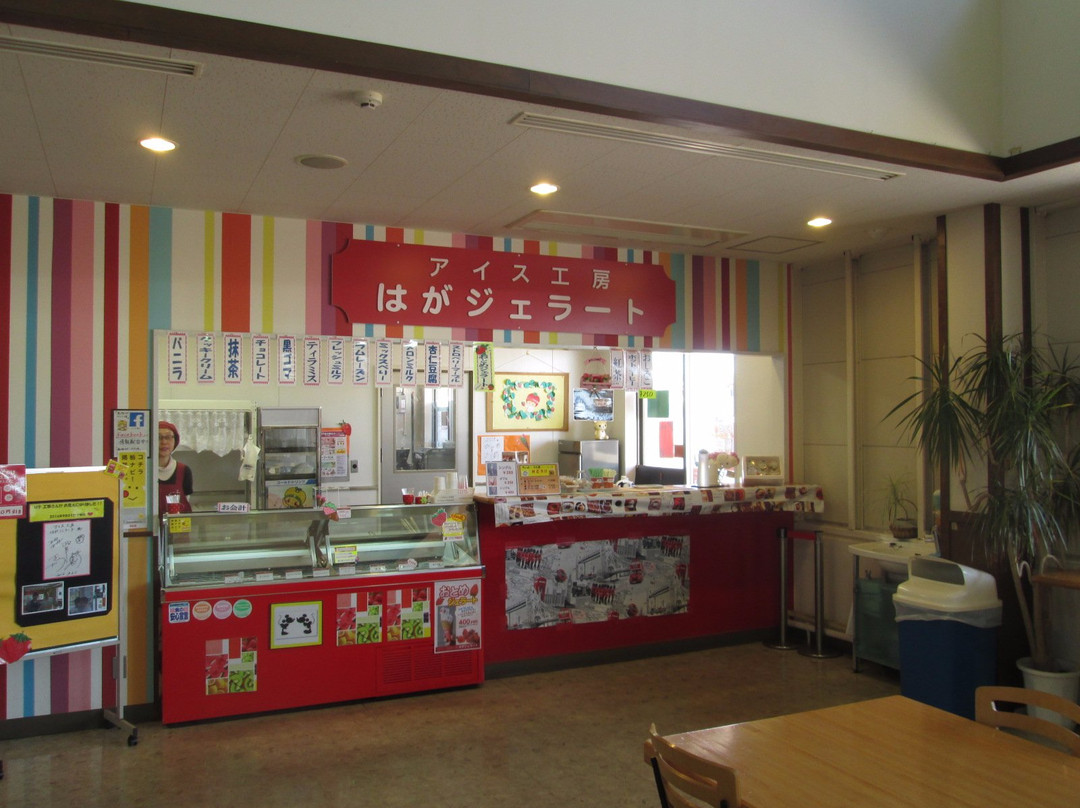 Haga Michi-no-Eki-芳贺町必去景点