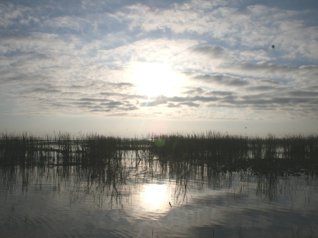 Southern Outdoorsman Guide Service-莱克威尔士必去景点