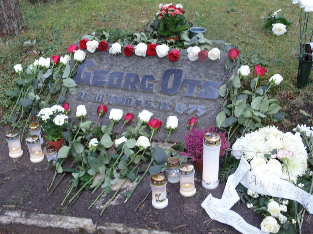 Metsakalmistu Cemetery-塔林必去景点