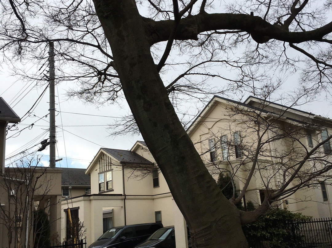 Nogawa Ryokuchi Park-狛江市必去景点