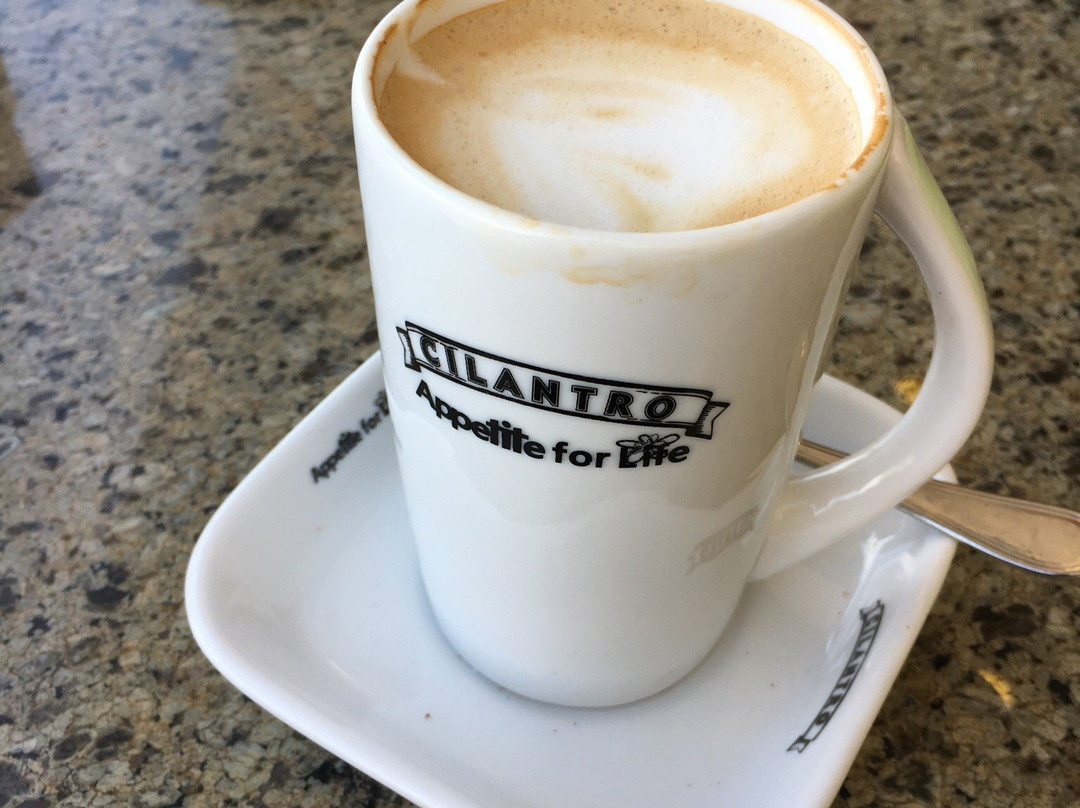 菲莱餐馆和美食-Cilantro