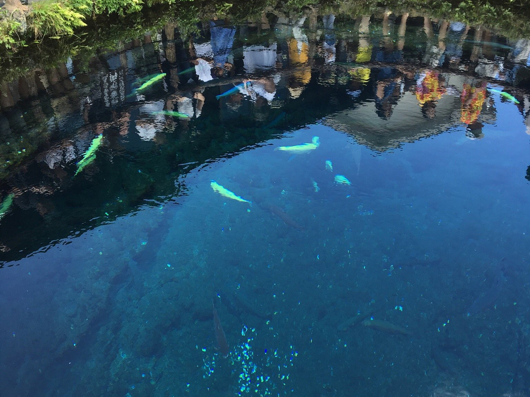 Lake Oshino主图