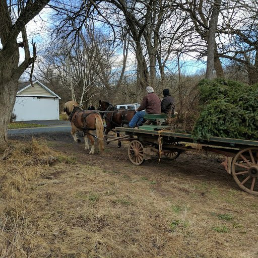 Howell Living History Farm-Lambertville必去景点