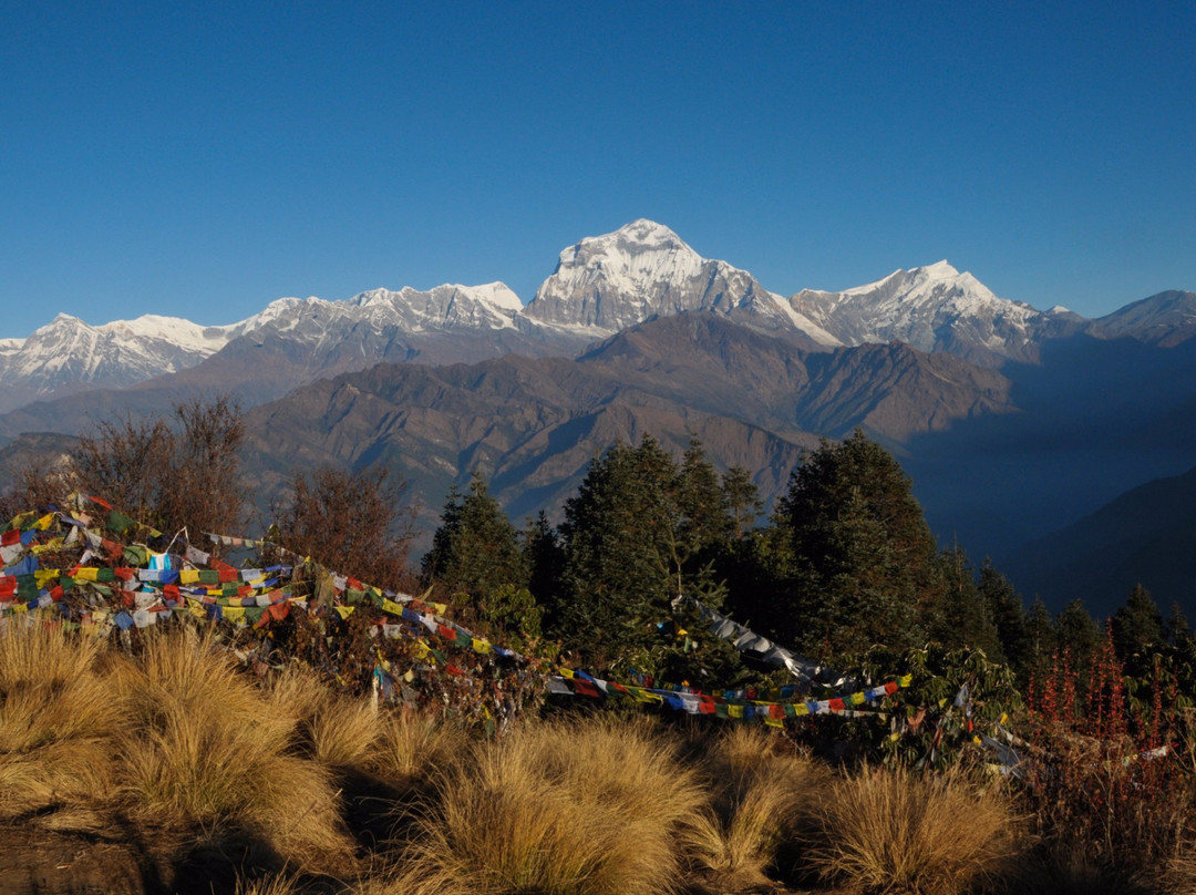 Ghorepani旅游攻略图片