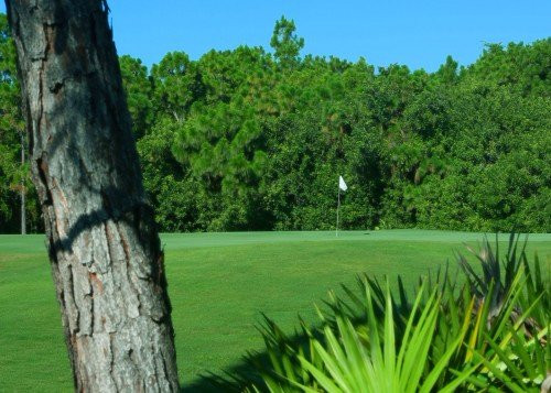 Rotonda Golf & Country Club景点图片