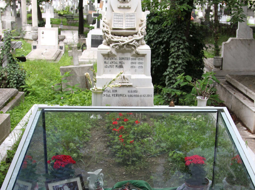 Bellu Cemetery (Cimitirul Șerban Vodă-Bellu)-布加勒斯特必去景点