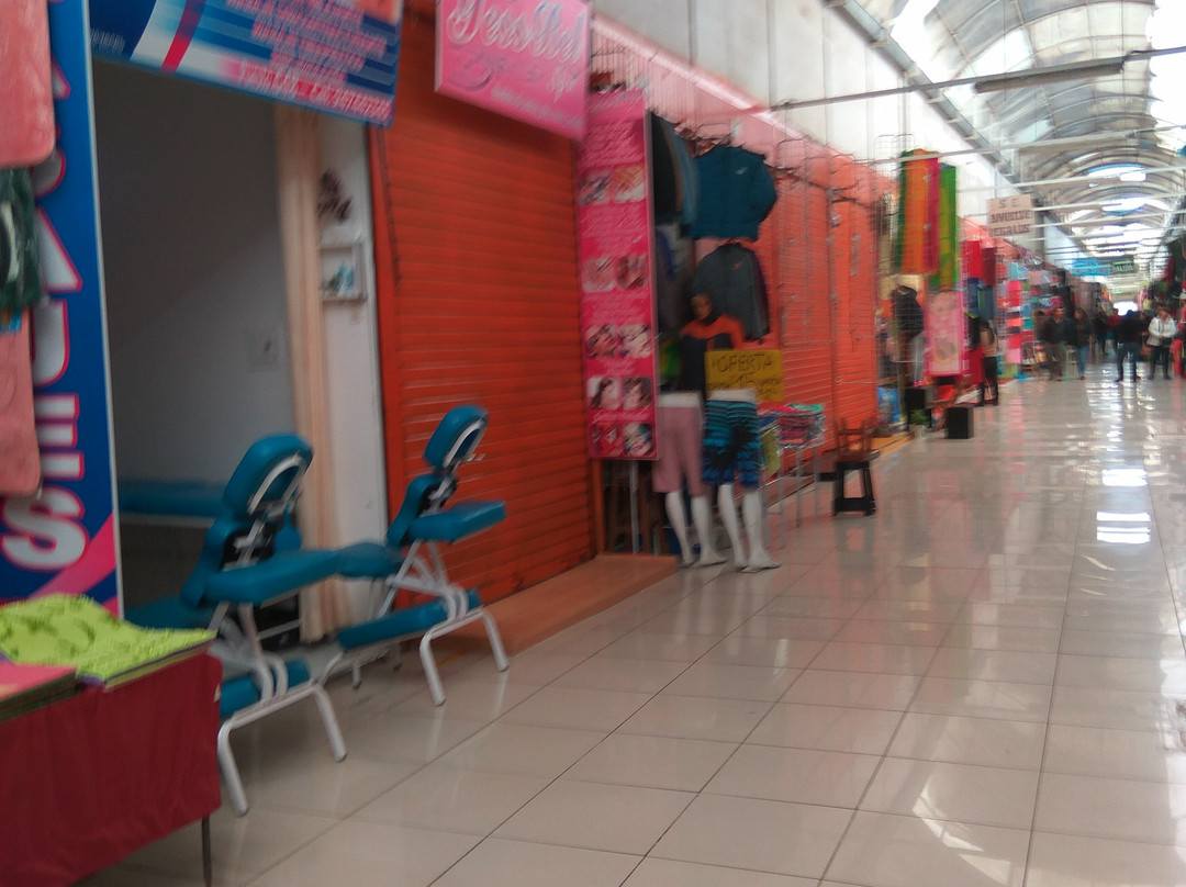 Feria 28 de Julio-塔克纳必去景点