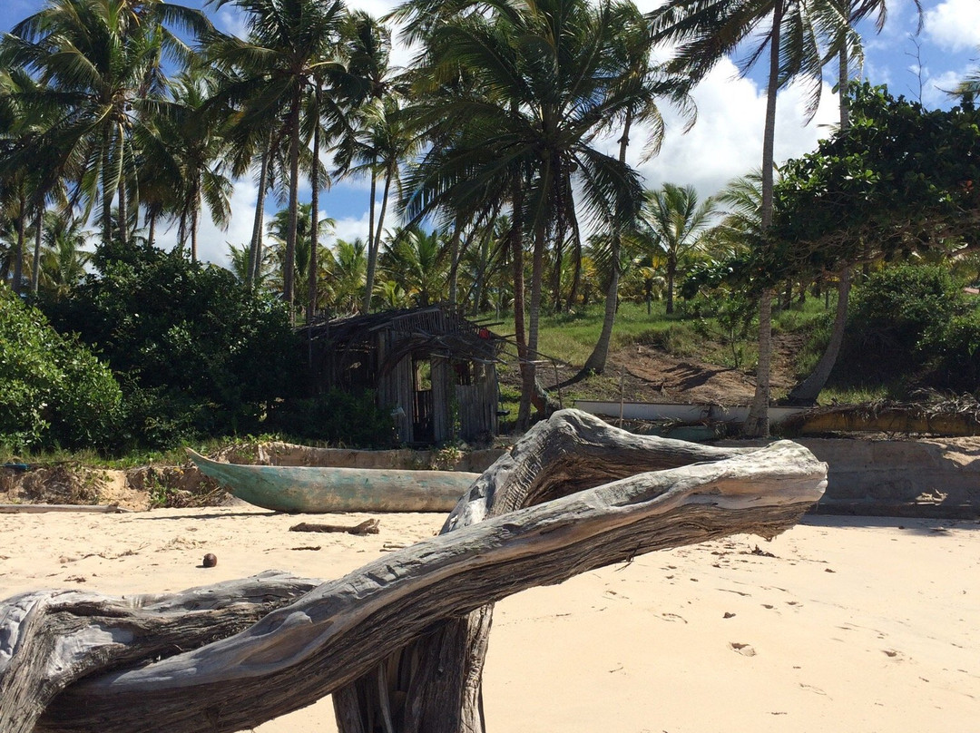 Calambriao Beach-Cumuruxatiba必去景点
