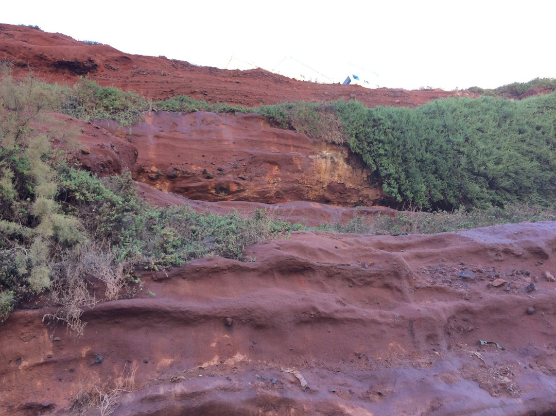 Hotel Bellevue主图