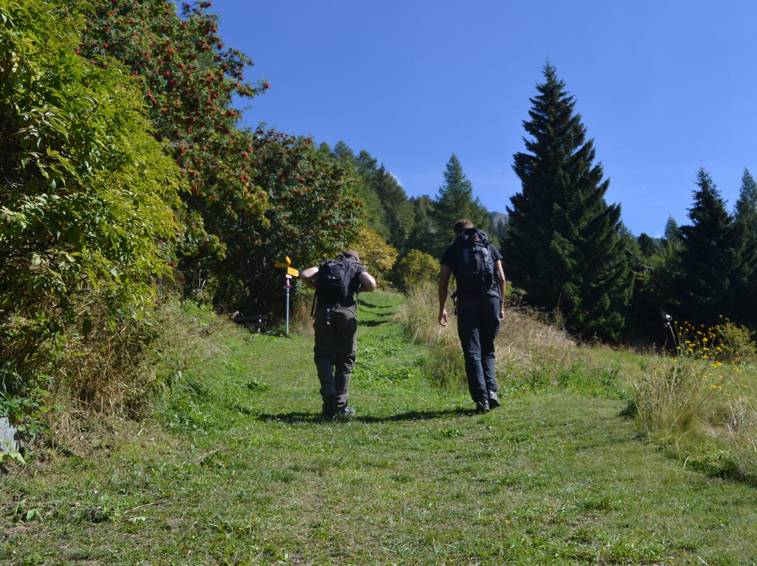 Sentier didactique de Zau Zoura景点图片