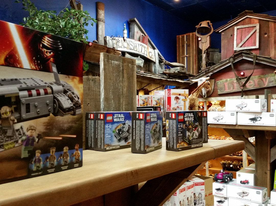 The Jackson Hole Toy Store-杰克逊必去景点