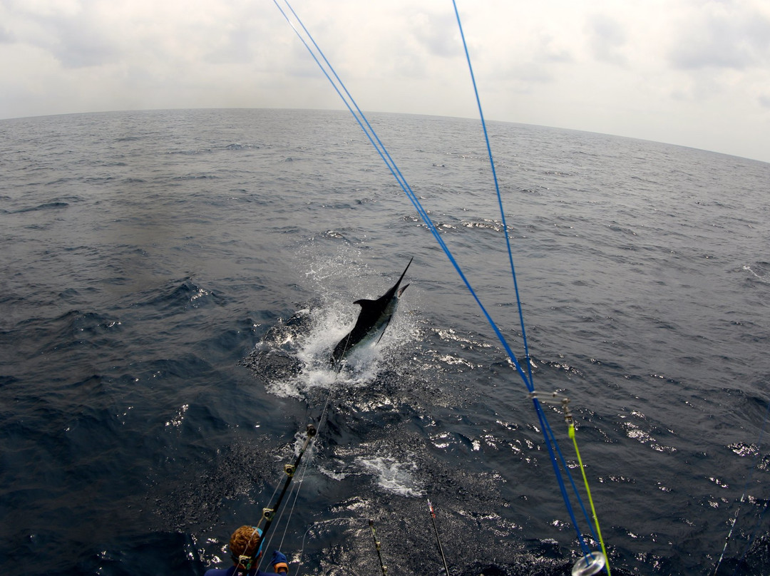 Makaira Adventure-Santo Antonio必去景点