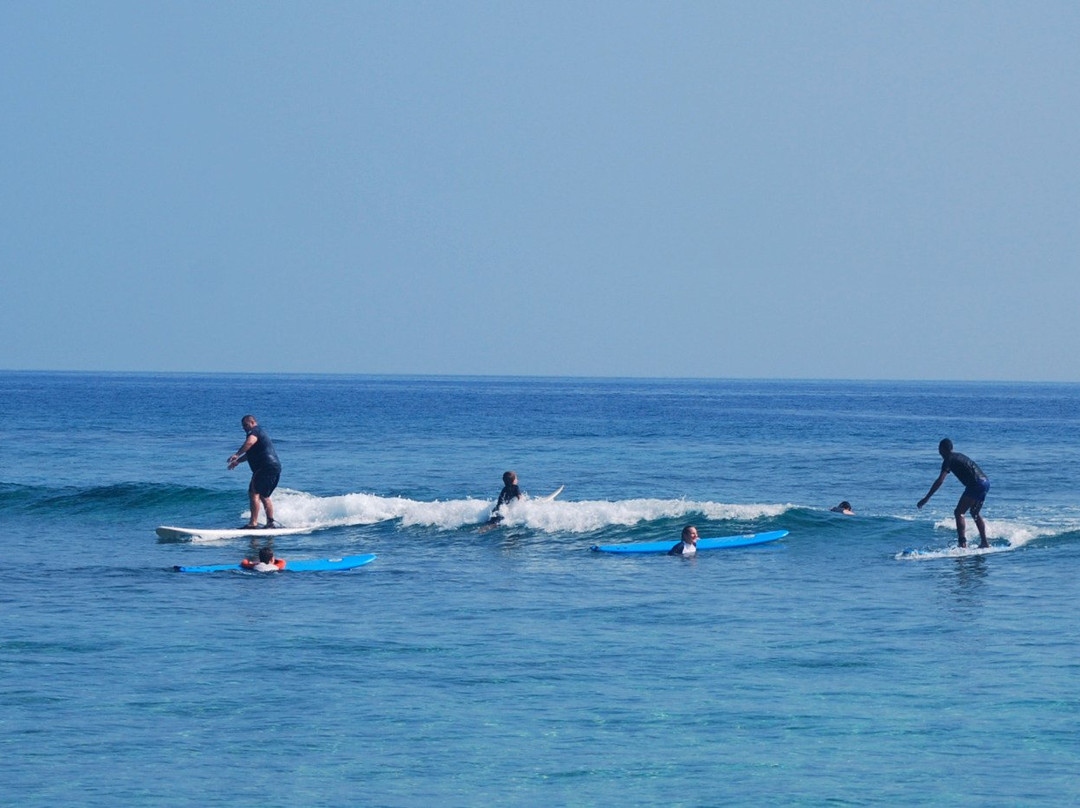 Endless Summer Surf Academy景点图片