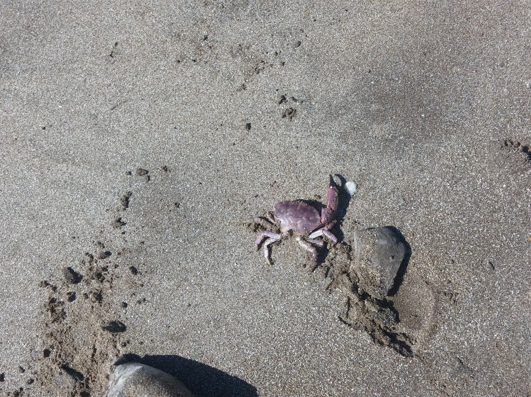 Balneario California-Santa Clara del Mar必去景点