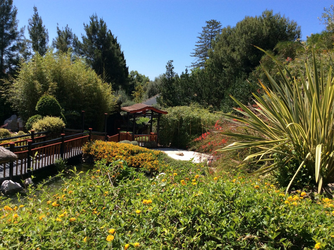 Jardin Botanico Molino de Inca景点图片