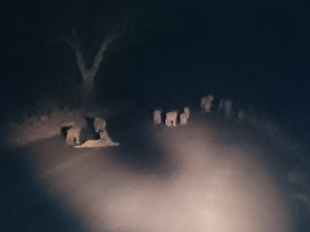 Bundu Enterprises-玛洛斯帕克必去景点