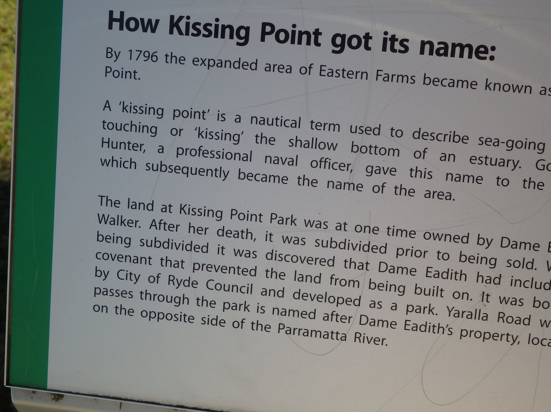 Kissing Point Park景点图片