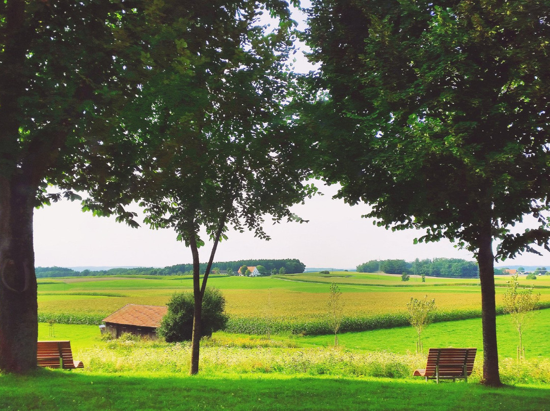 Hotel-Landgasthof Kreuz主图