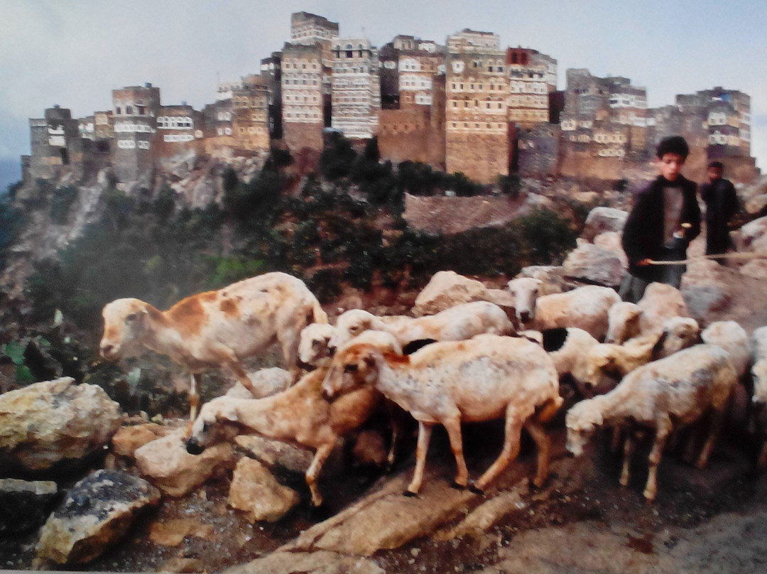 Mostra Steve Mc Curry-韦纳里亚雷亚莱必去景点