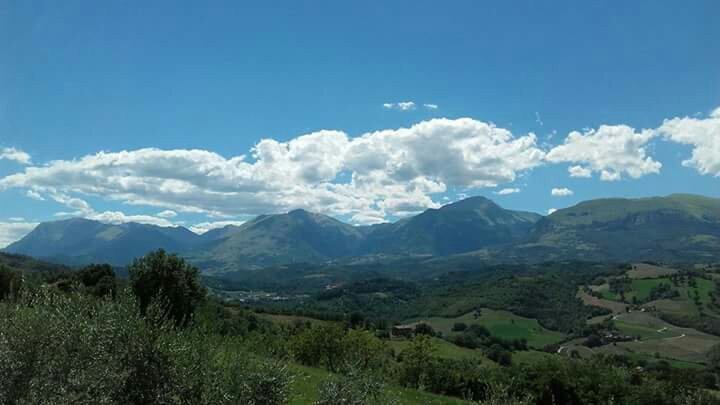 Agriturismo Madonna di Piana主图